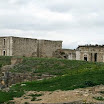 New Picture (6).png.jpg