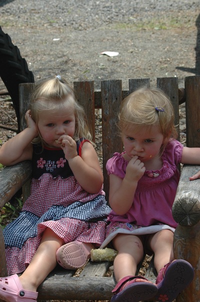 DSC_0084 DSC_0084