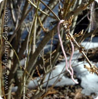 DSC_0380 DSC_0380