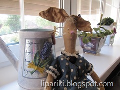 1 IMG_8474 1 IMG_8474