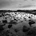 Marée basse à la pointe de l'Arcouest.