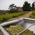 Domaine des Génaudières.