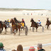Hippodrome du Kernic, Plouescat, jeudi 5 Aout 2010. Course attelée.