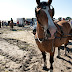 course-plouescat2010-26.jpg