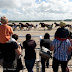 Hippodrome du Kernic, Plouescat, jeudi 5 Aout 2010. Course attelée.
