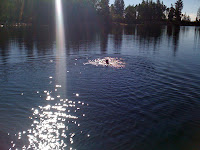 pittsburglake2010 025.jpg Photo pittsburglake2010 025.jpg Photo