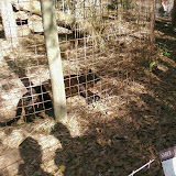 PIC-0118.jpg