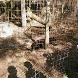 PIC-0117.jpg
