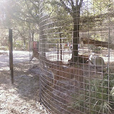 PIC-0109.jpg