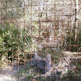PIC-0093.jpg