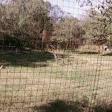 PIC-0084.jpg