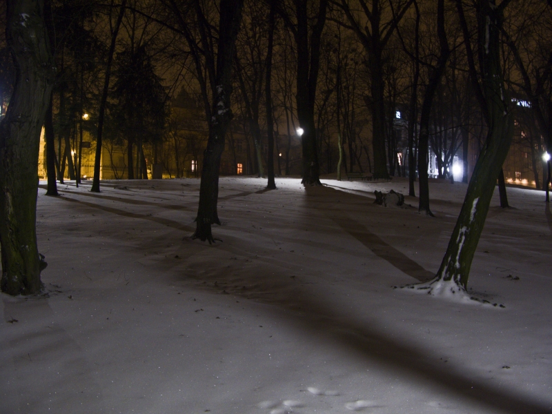 Зима у Львові
