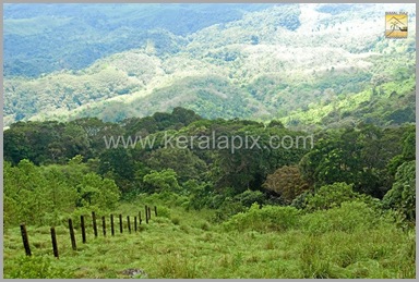 PMDY_009_keralapix.com_ponmudi_keral