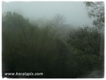 DSCF1043 DSCF1043