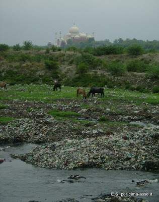Ecologia Indiana