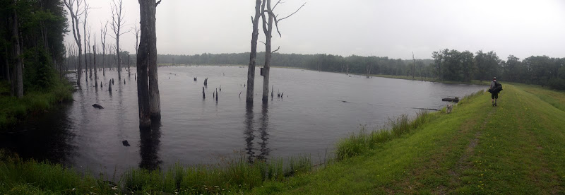 http://lh4.ggpht.com/_LCXRYkfBh8U/SIX8z4z7XWI/AAAAAAAABkQ/b9RbPNR7e2Y/s800/beaver%20dam.jpg