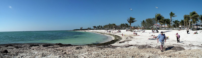 http://lh4.ggpht.com/_LCXRYkfBh8U/SP6P6XMQoII/AAAAAAAACNE/PShZR9gXfFc/s800/david%20walking%20on%20beach.jpg