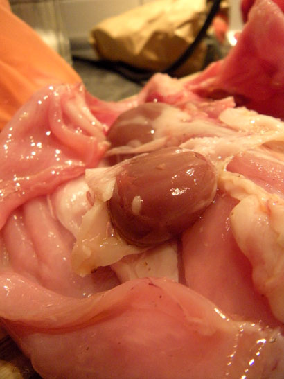 20091102-2.jpg
