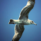 aIMG_0576.jpg