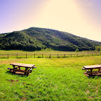 ranch-landscape-2.jpg