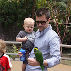 IMG_9384.JPG