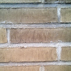 IMAG0047.jpg