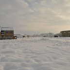 Vejrhanen i vinter-beklædning