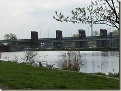 HPIM2748
