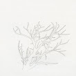 04_TREES.jpg
