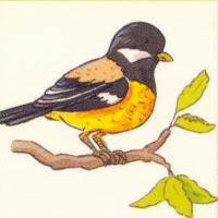 Aves (78).jpg
