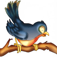 Aves (69).jpg