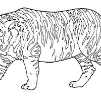 Mamíferos (266).jpg