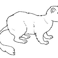 Mamíferos (105).jpg