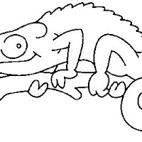 Reptiles (5).jpg