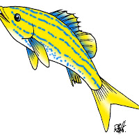 Peces (145).jpg