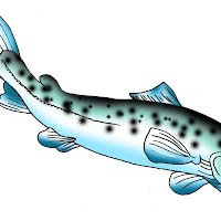 Peces (159).jpg