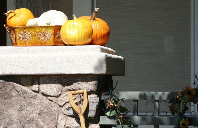 [20091010_0673edit[5].jpg]