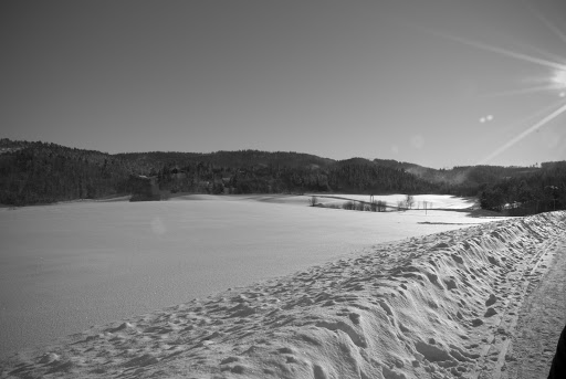 20090215-DSC_0015