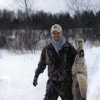 coyote3.jpg