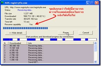 โปรแกรม internet download manager