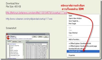 โปรแกรม internet download manager โปรแกรม internet download manager