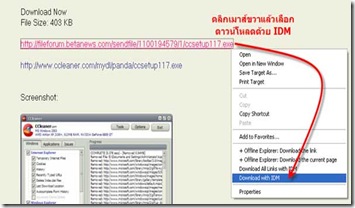 โปรแกรม internet download manager