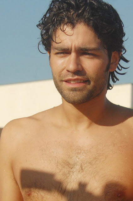 portrait of shirtless and hairy chested adrian grenier