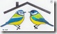 paca home live sigle