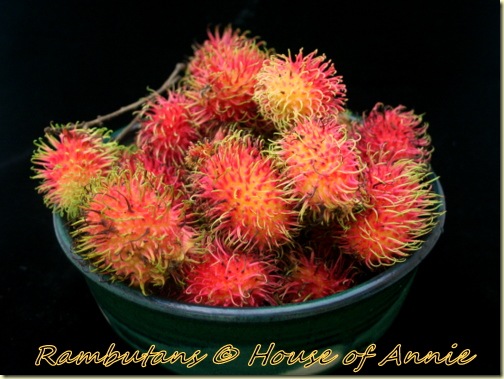 Bowl of Rambutans Bowl of Rambutans