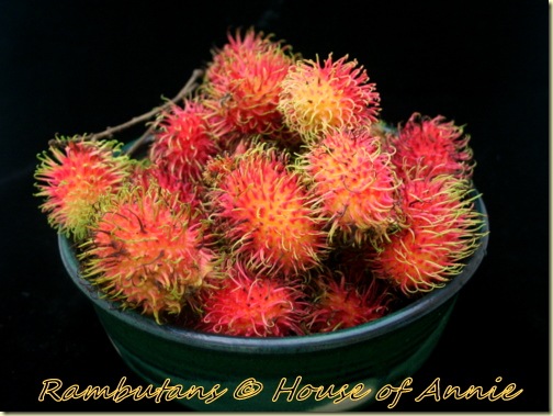 Bowl of Rambutans