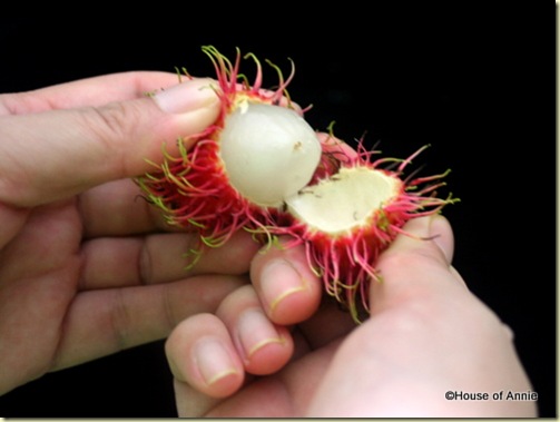 peeling a rambutan 2