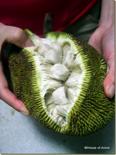 opening a buah tarap opening a buah tarap