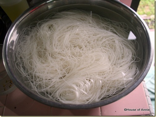 Bee Hoon Noodles
