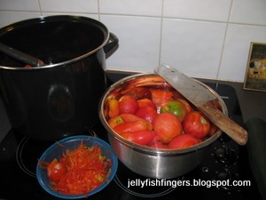 [Tomato Pasta sauce - home grown[2].jpg]
